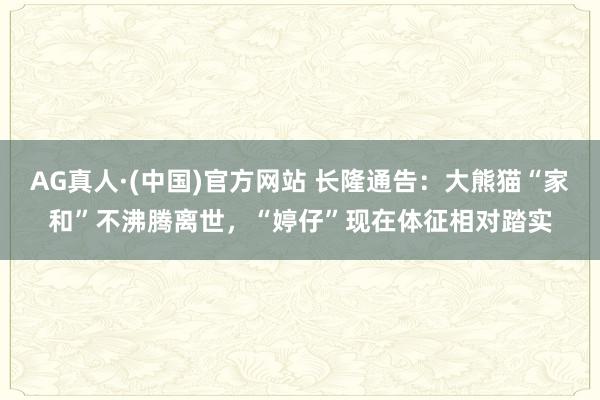 AG真人·(中国)官方网站 长隆通告:大熊猫“家和”不沸腾离世,“婷仔”现在体征相对踏实