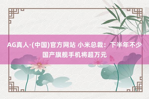 AG真人·(中国)官方网站 小米总裁:下半年不少国产旗舰手机将超万元