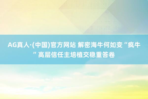 AG真人·(中国)官方网站 解密海牛何如变“疯牛”高层信任主培植交稳重答卷