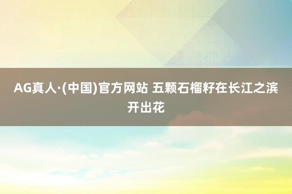 AG真人·(中国)官方网站 五颗石榴籽在长江之滨开出花