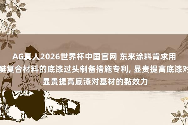 AG真人2026世界杯中国官网 东来涂料肯求用于尼龙和聚苯醚复合材料的底漆过头制备措施专利, 显贵提高底漆对基材的黏效力