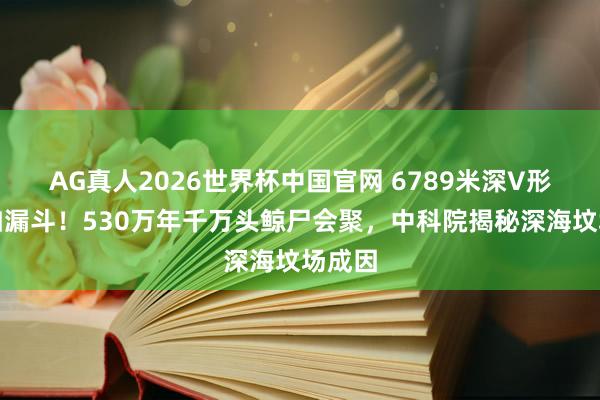 AG真人2026世界杯中国官网 6789米深V形山地如漏斗！530万年千万头鲸尸会聚，中科院揭秘深海坟场成因