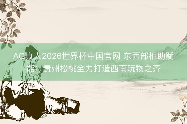 AG真人2026世界杯中国官网 东西部相助赋能：贵州松桃全力打造西南玩物之齐