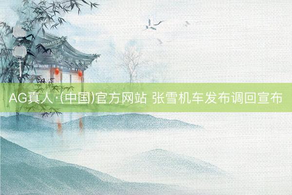 AG真人·(中国)官方网站 张雪机车发布调回宣布