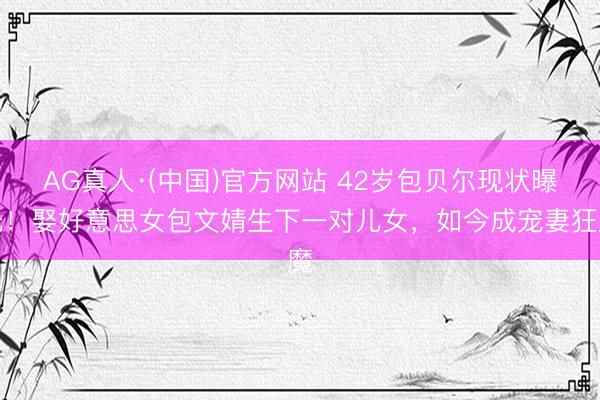 AG真人·(中国)官方网站 42岁包贝尔现状曝光!娶好意思女包文婧生下一对儿女,如今成宠妻狂魔