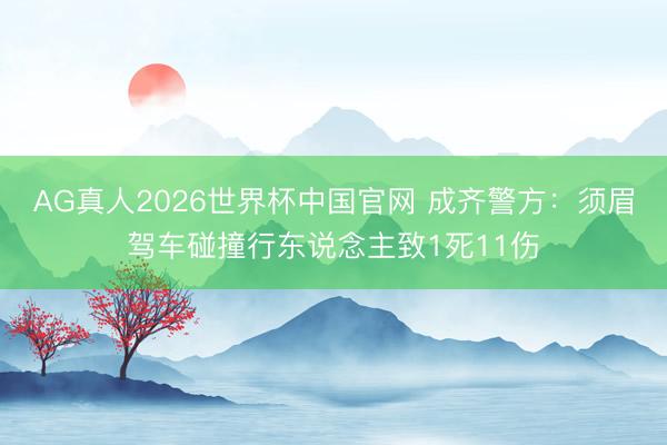 AG真人2026世界杯中国官网 成齐警方:须眉驾车碰撞行东说念主致1死11伤